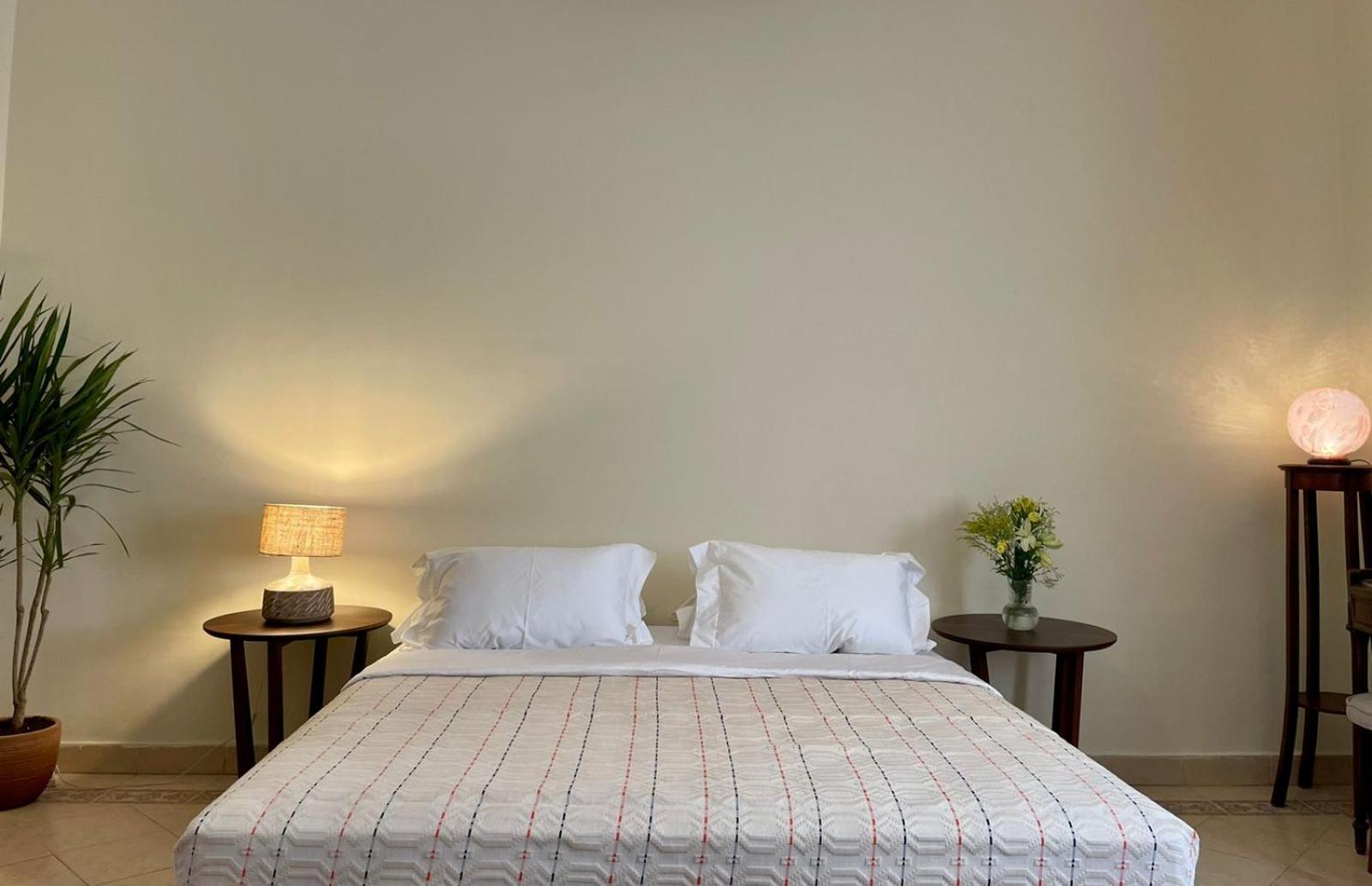 Luxury On The Nile - Zamalek Apartments 开罗 外观 照片